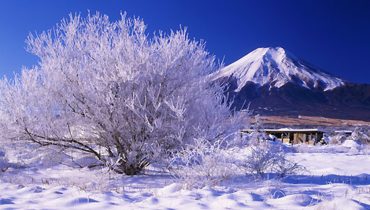 JAPON EN INVIERNO: CINCO LUGARES QUE NO TE PUEDES PERDER