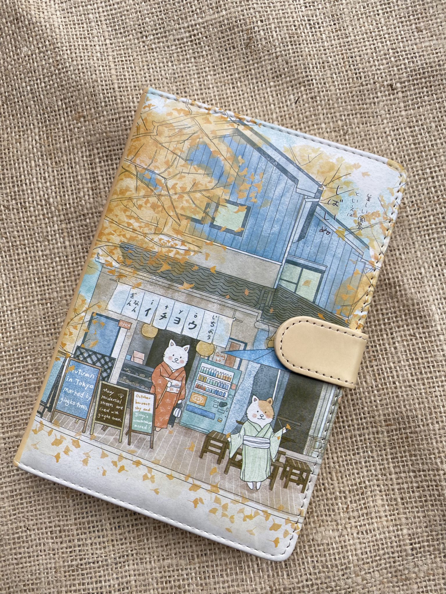 Papier de rangement pour kimono/tato-shi avec des ficelles - France